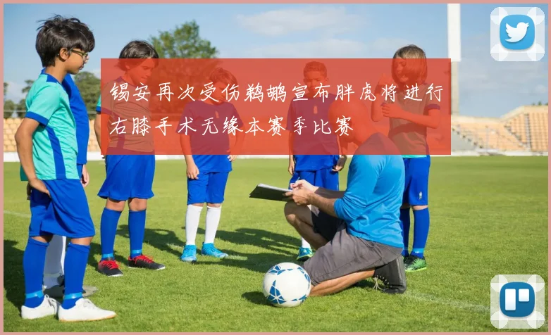 锡安再次受伤鹈鹕宣布胖虎将进行右膝手术无缘本赛季比赛