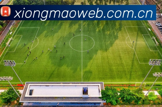 App Interface Preview